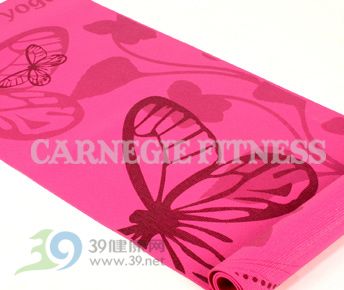 CARNEGIE FITNESS PVCרҵ٤