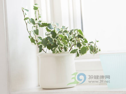 简单即富足