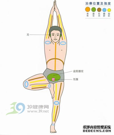 瑜伽盲点 数数看
